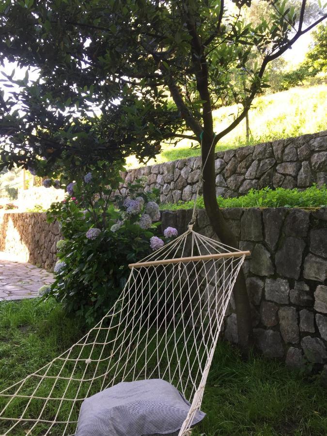 Gli Amici Di Carla Hotell La Spezia Eksteriør bilde