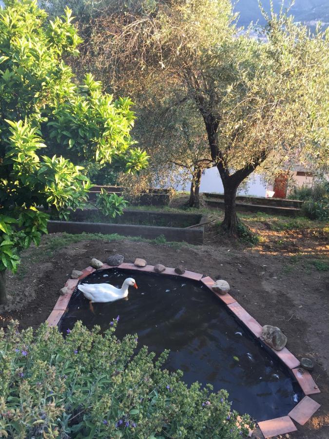 Gli Amici Di Carla Hotell La Spezia Eksteriør bilde